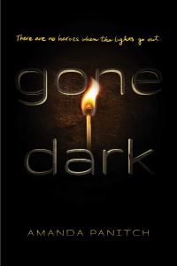 Book Cover for Gone Dark by Amanda Panitch
