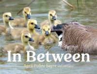 Book Cover for In Between by April Pulley Sayre