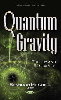 Book Cover for Quantum Gravity by Brandon Mitchell