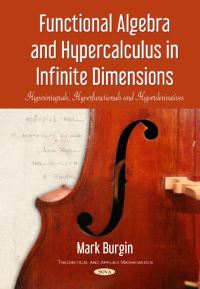 Book Cover for Functional Algebra and Hypercalculus in Infinite Dimensions by M S Burgin