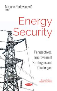 Book Cover for Energy Security by Mirjana Radovanovic
