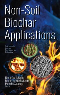 Book Cover for Non-Soil Biochar Applications by Pantelis Soupios