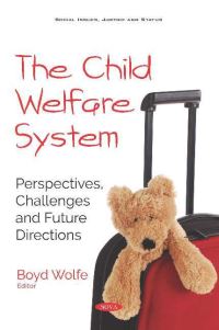 Book Cover for The Child Welfare System by Boyd Wolfe