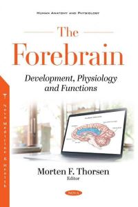 Book Cover for The Forebrain by Morten F Thorsen