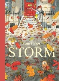 Book Cover for Storm by Sam Usher