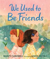 Book Cover for We Used to Be Friends by Marcy Campbell
