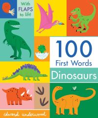 Book Cover for 100 First Words by Edward Underwood