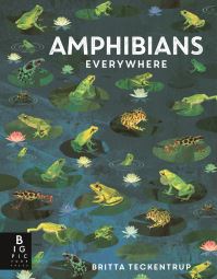 Book Cover for Amphibians Everywhere by Camilla de la Bedoyere