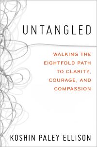 Book Cover for Untangled by Koshin Paley Ellison