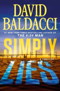 Book Cover for Simply Lies by David Baldacci
