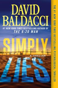 Book Cover for Simply Lies by David Baldacci