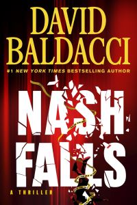 Book Cover for Nash Falls by David Baldacci