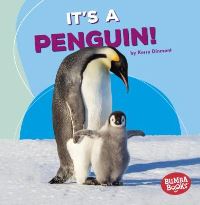 Book Cover for It's a Penguin! by Kerry Dinmont