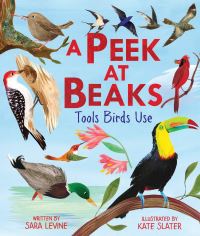 Book Cover for A Peek at Beaks by Sara Levine