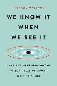 Book Cover for We Know It When We See It by Richard H Masland