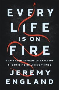 Book Cover for Every Life Is on Fire by Jeremy England