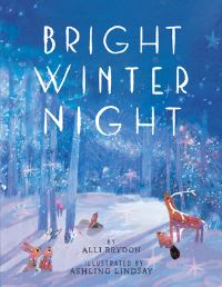 Book Cover for Bright Winter Night by Alli Brydon