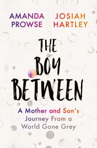 Book Cover for The Boy Between by Amanda Prowse, Josiah Hartley