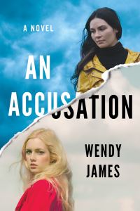 Book Cover for An Accusation by Wendy James