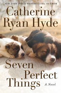 Book Cover for Seven Perfect Things by Catherine Ryan Hyde