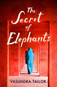 Book Cover for The Secret of Elephants by Vasundra Tailor
