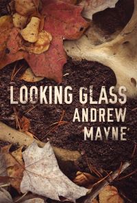 Book Cover for Looking Glass by Andrew Mayne