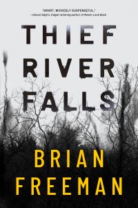 Book Cover for Thief River Falls by Brian Freeman