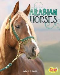 Book Cover for Arabian Horses by John Diedrich