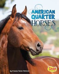 Book Cover for American Quarter Horses by John Diedrich