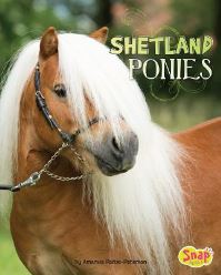 Book Cover for Shetland Ponies by John Diedrich