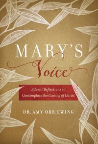 Book Cover for Mary's Voice by Amy OrrEwing