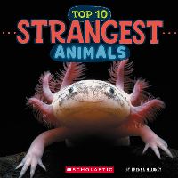 Book Cover for Strangest Animals (Wild World by Brenna Maloney