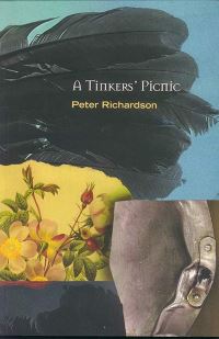 Book Cover for A Tinker's Picnic by Peter Richardson