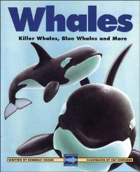 Book Cover for Whales by Deborah Hodge