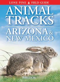 Book Cover for Animal Tracks of Arizona & New Mexico by Ian Sheldon