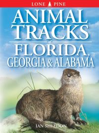 Book Cover for Animal Tracks of Florida, Georgia & Alabama by Ian Sheldon