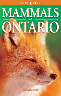 Book Cover for Mammals of Ontario by Tamara Eder
