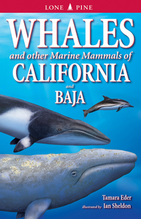 Book Cover for Whales and Other Marine Mammals of California and Baja by Tamara Hartson