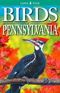 Book Cover for Birds of Pennsylvania by Franklin C Haas, Roger Burrows
