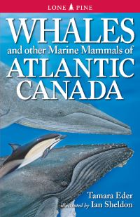 Book Cover for Whales and Other Marine Mammals of Atlantic Canada by Tamara Eder