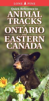 Book Cover for Quick Reference to Animal Tracks of Ontario and Eastern Canada by Ian Sheldon