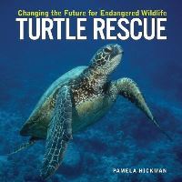 Book Cover for Turtle Rescue by Pamela Hickman