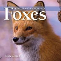 Book Cover for Exploring the World of Foxes by Tracy C Read