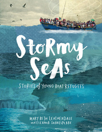 Book Cover for Stormy Seas by Mary Beth Leatherdale