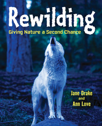 Book Cover for Rewilding by Love, Drake