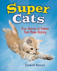 Book Cover for Super Cats by Elizabeth MacLeod
