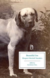 Book Cover for Beautiful Joe by Marshall Saunders