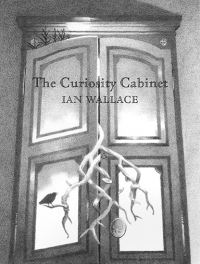 Book Cover for The Curiosity Cabinet by Ian Wallace