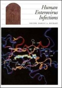 Book Cover for Human Enterovirus Infections by Harley A Rotbart