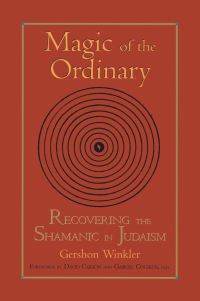 Book Cover for Magic of the Ordinary by Gershon Winkler